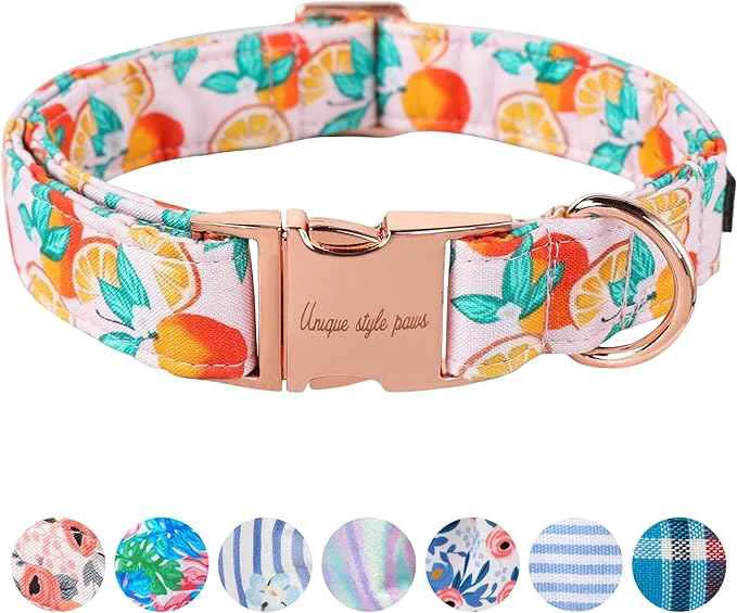 Certified Unique style paws Dog Collar Metal Buckle Orange Collar Gift Durable Cute Collar Detailed