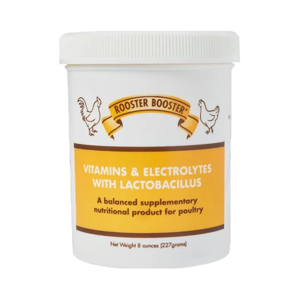 Dependable Rooster Booster Vitamins Electrolytes LactoBacillus Poultry Supplement 8-oz Natural