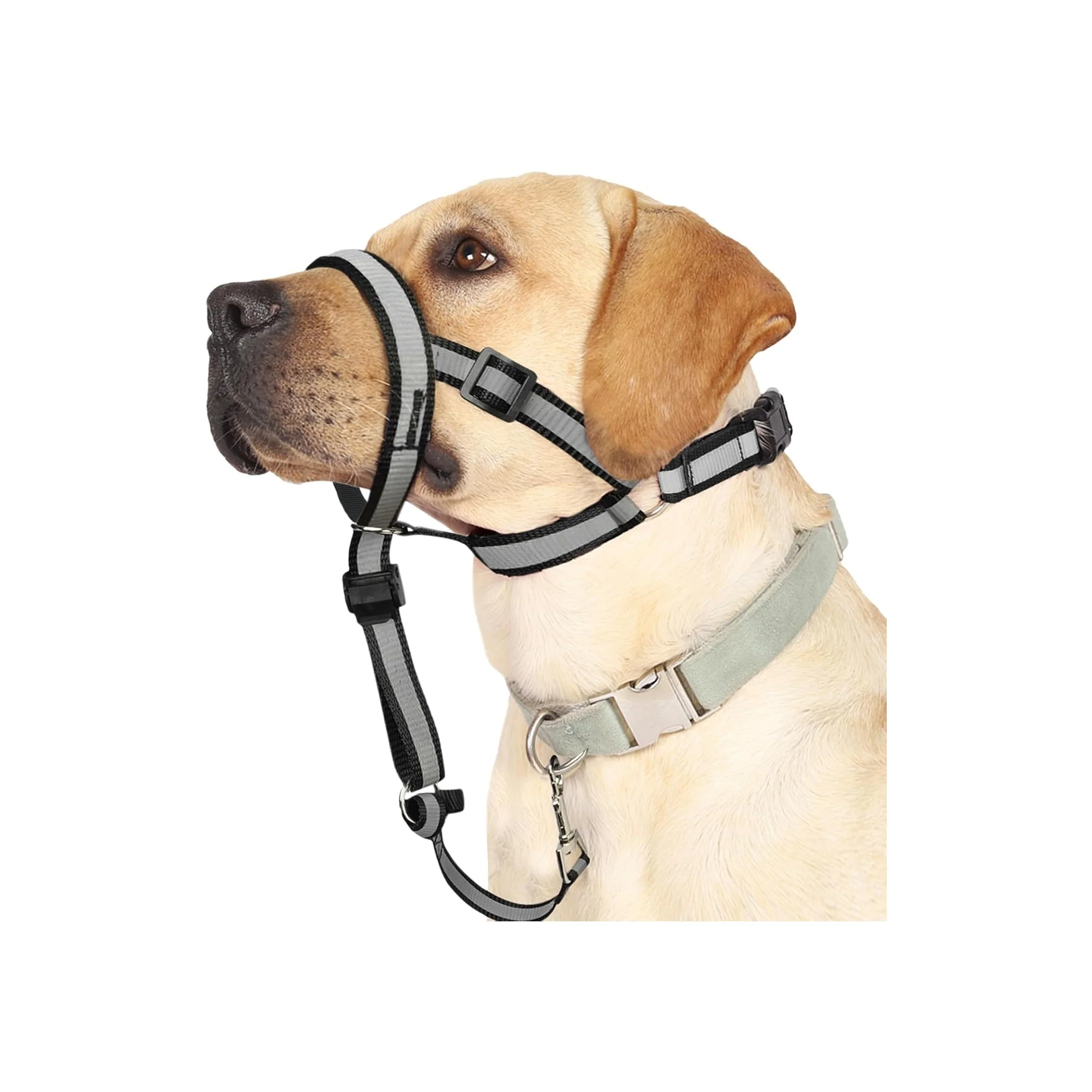 High-Grade Reflective Head Collar No Pull Collar for Large Dogs Anti-Pull Muzzl Carefully Designed