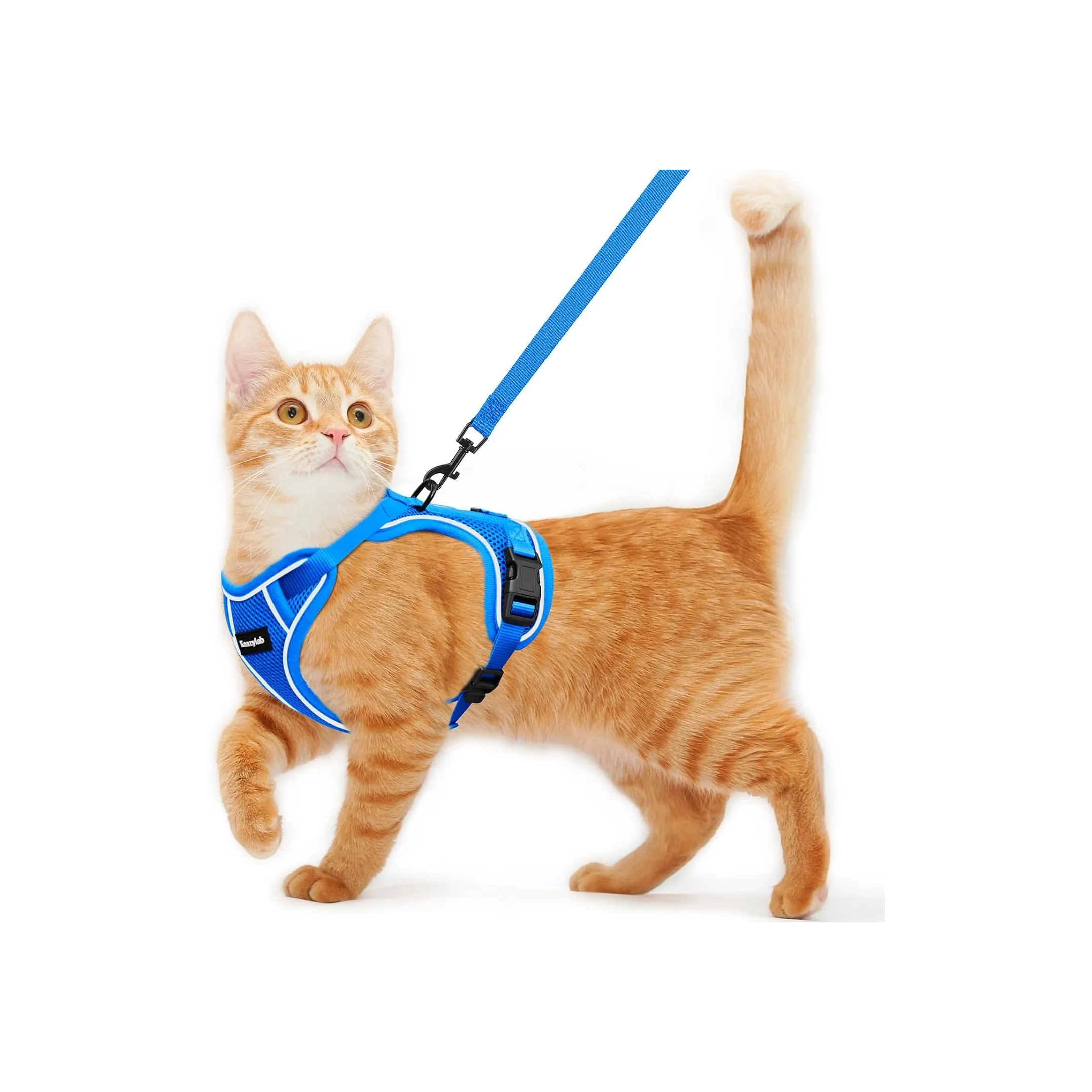 World-Class Cat Harness and Leash for Walking Escape Proof Soft Adjustable Cat Lea User-Friendly