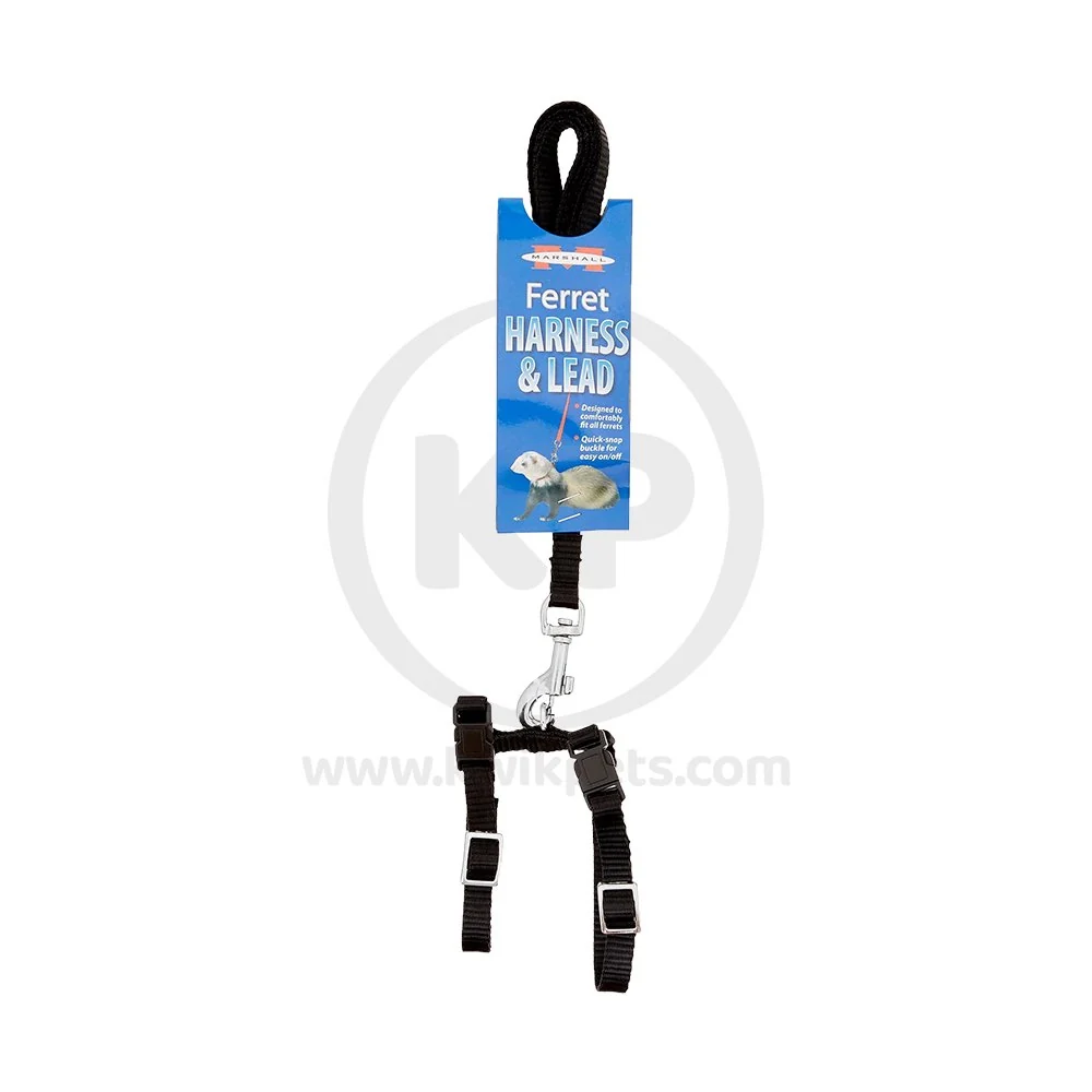 Fast Marshall Pet Products Ferret Harness Lead Set Black Comfortable