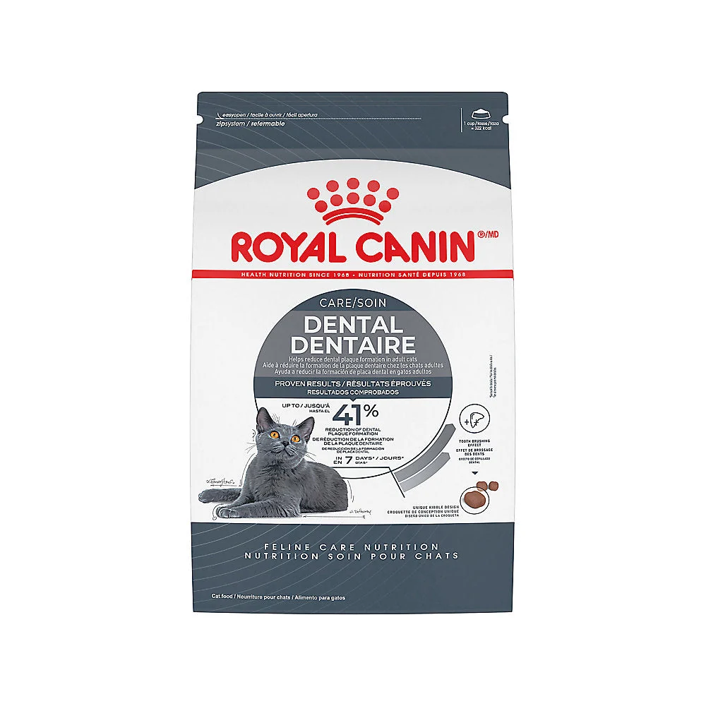 Minimalist Royal Canin Dental Care Dry Cat Food Royal Canin Dental Care Dry Cat Food Premium Material