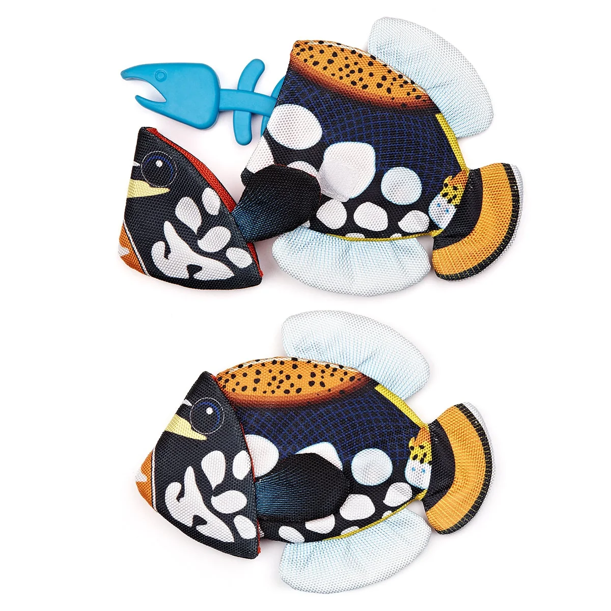 Authentic Tropical Crinkle Bone Emperor Angelfish Solid