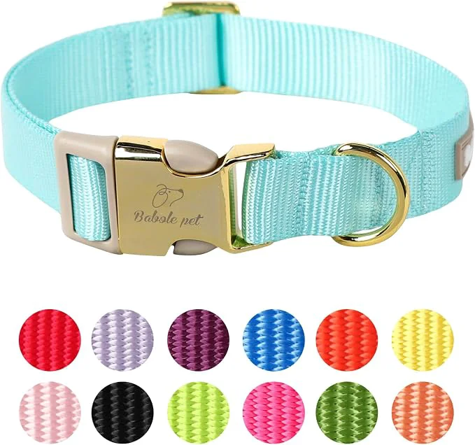 World-Class Nylon Dog Collar Modern
