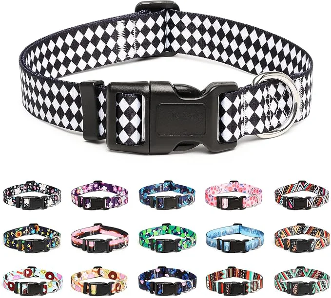 Sustainable Mercano Adjustable Dog Collar Relaxed