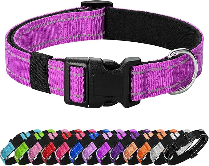Superior Reflective Dog Collar Padded Long-Lasting