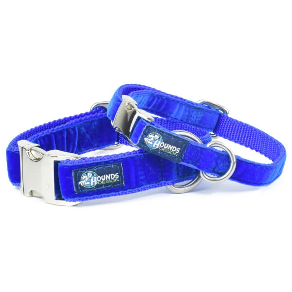 User-Friendly Royal Blue Velvet Essential Buckle Martingale Dog Collar High-Quality