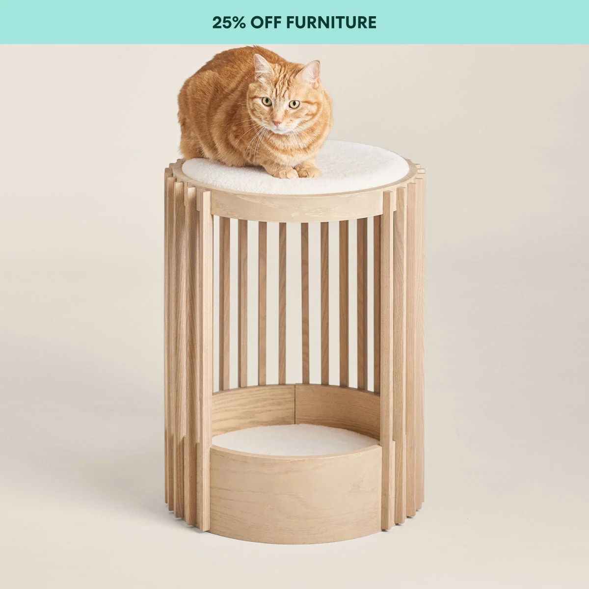 Advanced Grove Cat Tower Comfortable
