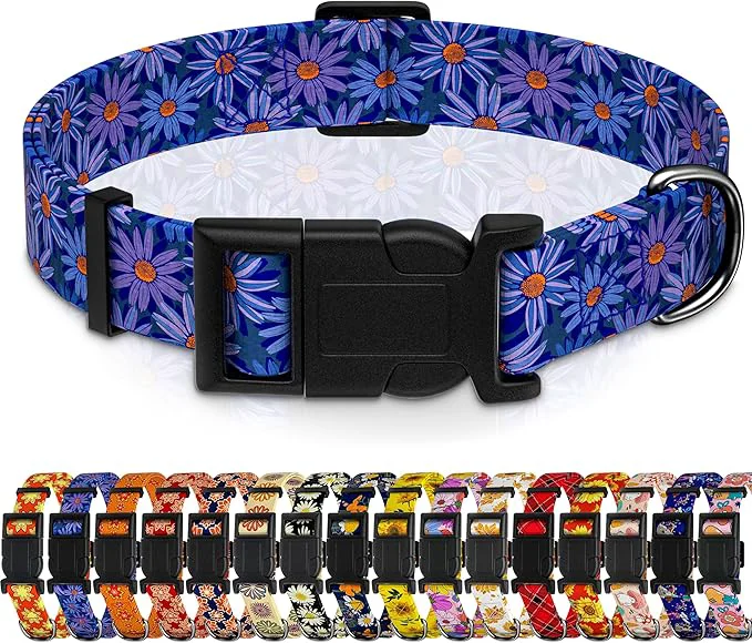 World-Class Dog Collar Classical Indian Spirit Boys Girls Puppy Collar Effective