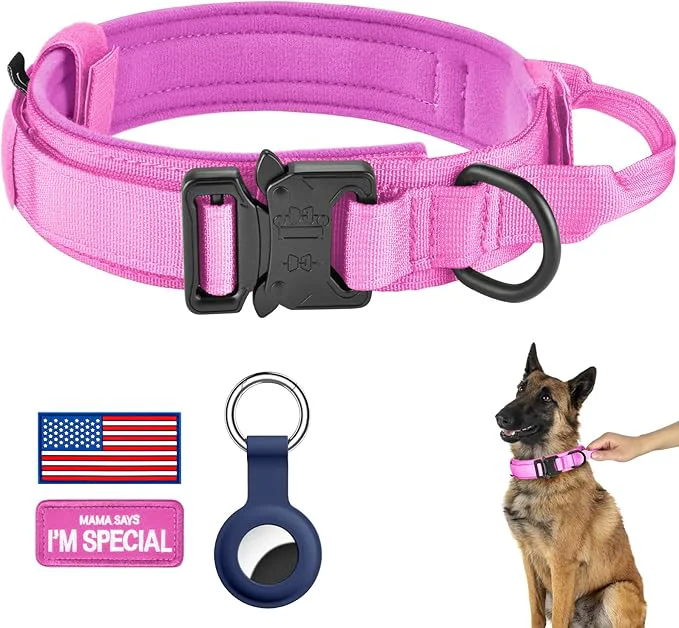 Top-Quality DAGANXI Tactical Dog Collar Adjustable Military Training Nylon Dog Collar Minimalist