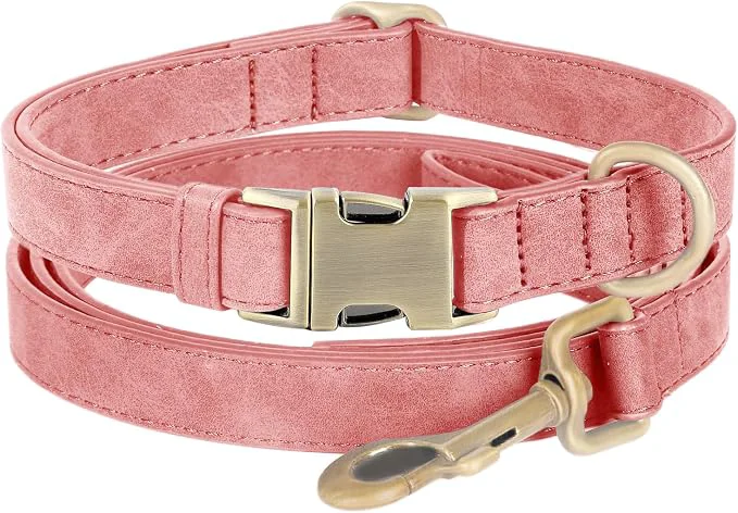 Comfortable Leather Dog Collar World-Class