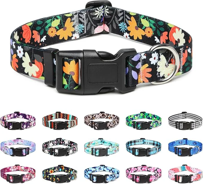 Verified Mercano Adjustable Dog Collar World-Class