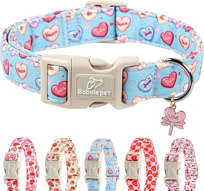 Trendy Valentines Dog Collar for Medium Dogs Sophisticated
