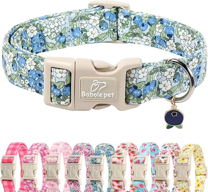 Superior Blueberry Pattern Dog Collar Cute Light Blue Spring Summer Puppy Collar Innovative