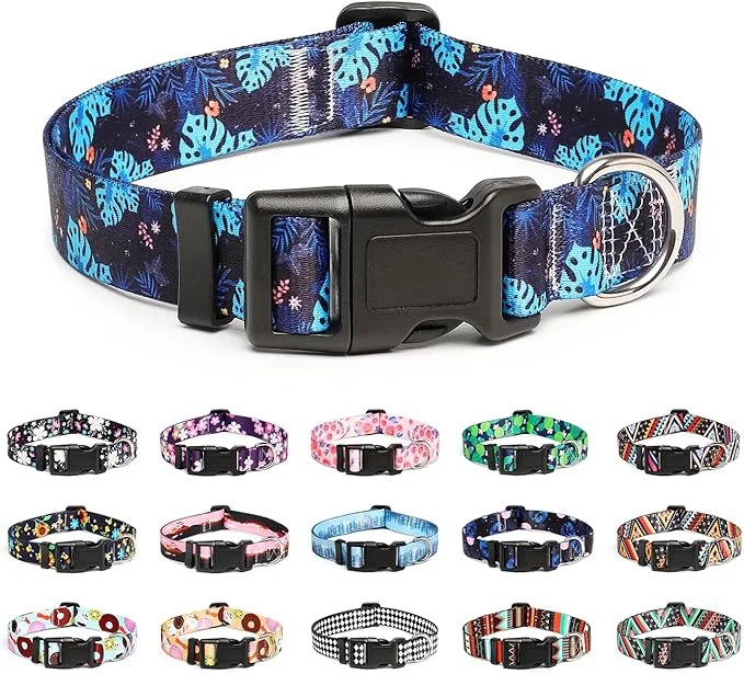 Consistent Mercano Adjustable Dog Collar Secure