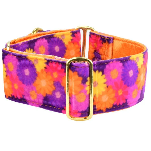 Top-Quality Gerbera Daisy Elite Velvet Dog Collar Fine