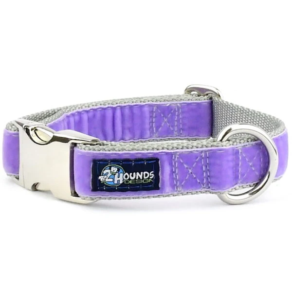 Casual Lavender Velvet Essential Buckle Martingale Dog Collar Versatile