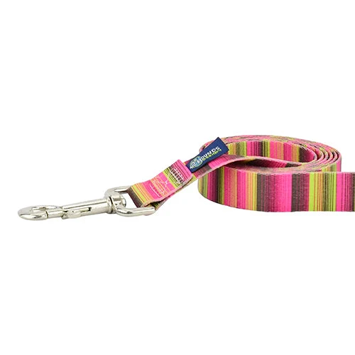 Sustainable Bonnie Dog Leash – EarthStyle Efficient