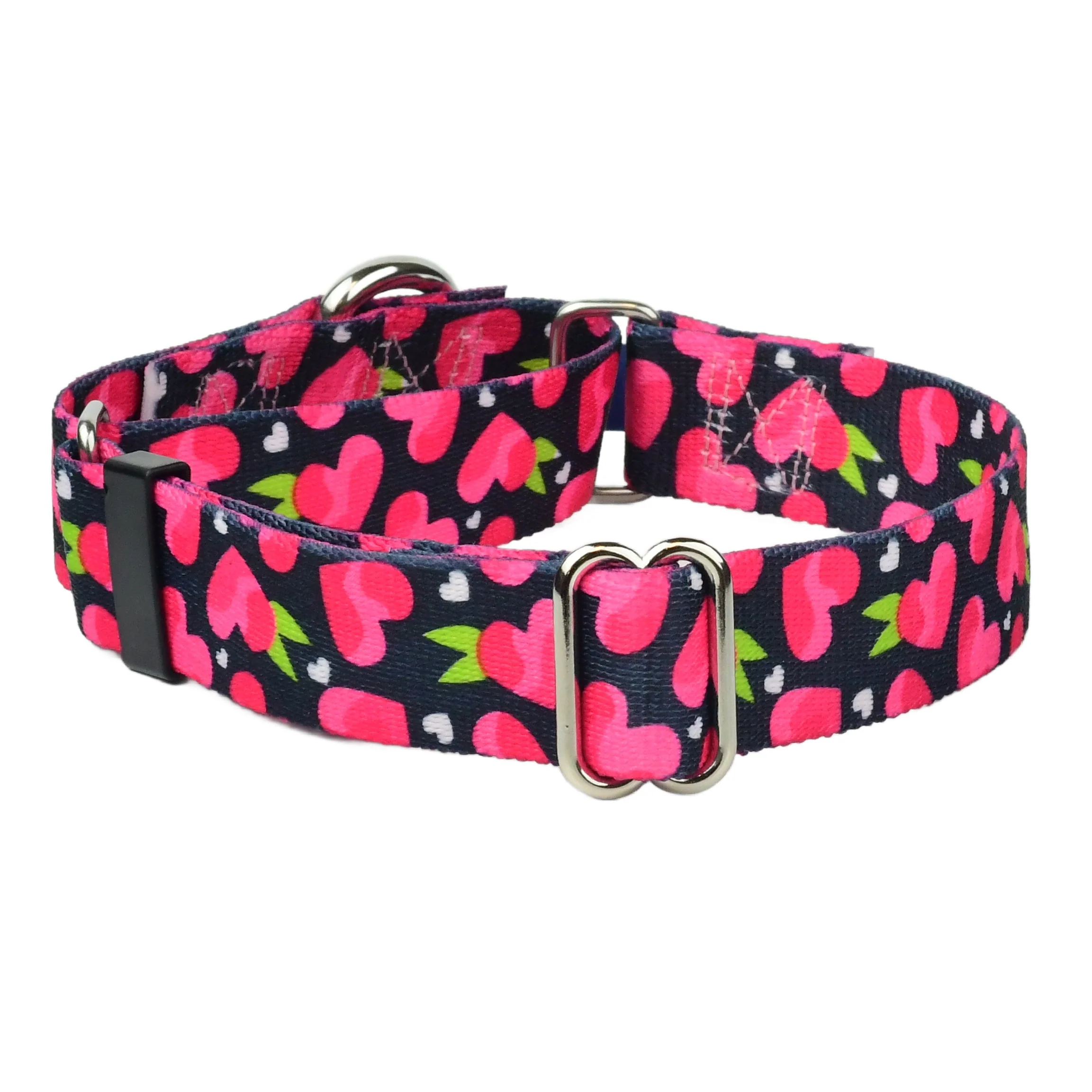 Top-Quality Fruity Hearts Martingale Dog Collar – EarthStyle 1 Only Carefully Designed