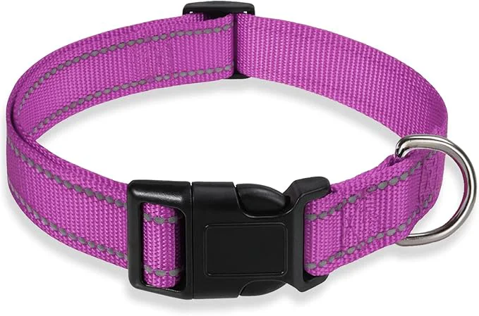 Authentic Reflective Dog Collar with Buckle Adjustable Safety Nylon Collars Green