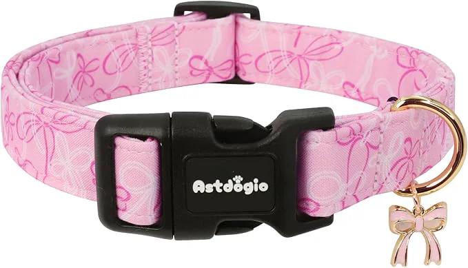 Artisan Medium Dog Collar Girl Boy Dog Collars Trendy