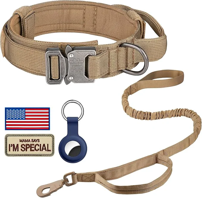 Versatile DAGANXI Tactical Dog Collar Leash Set Adjustable Military Training Nylon Dog Trendy