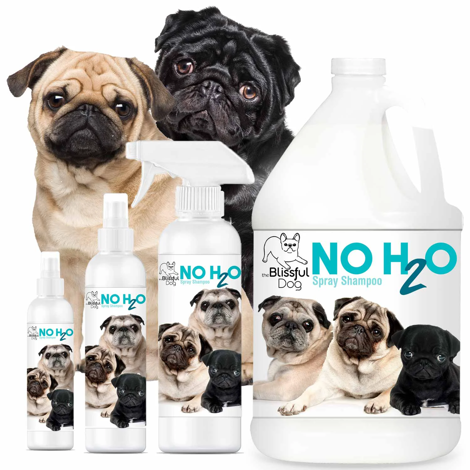 Flexible No H20 Spray Pet Shampoo Sustainable