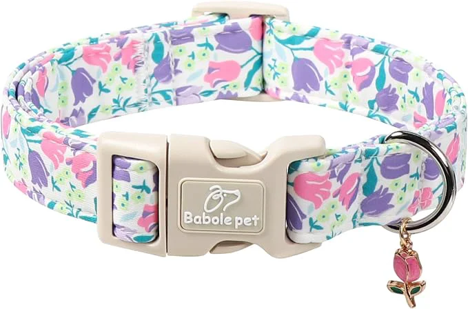Carefully Designed Floral Dog Collar for Large Dogs Powerful