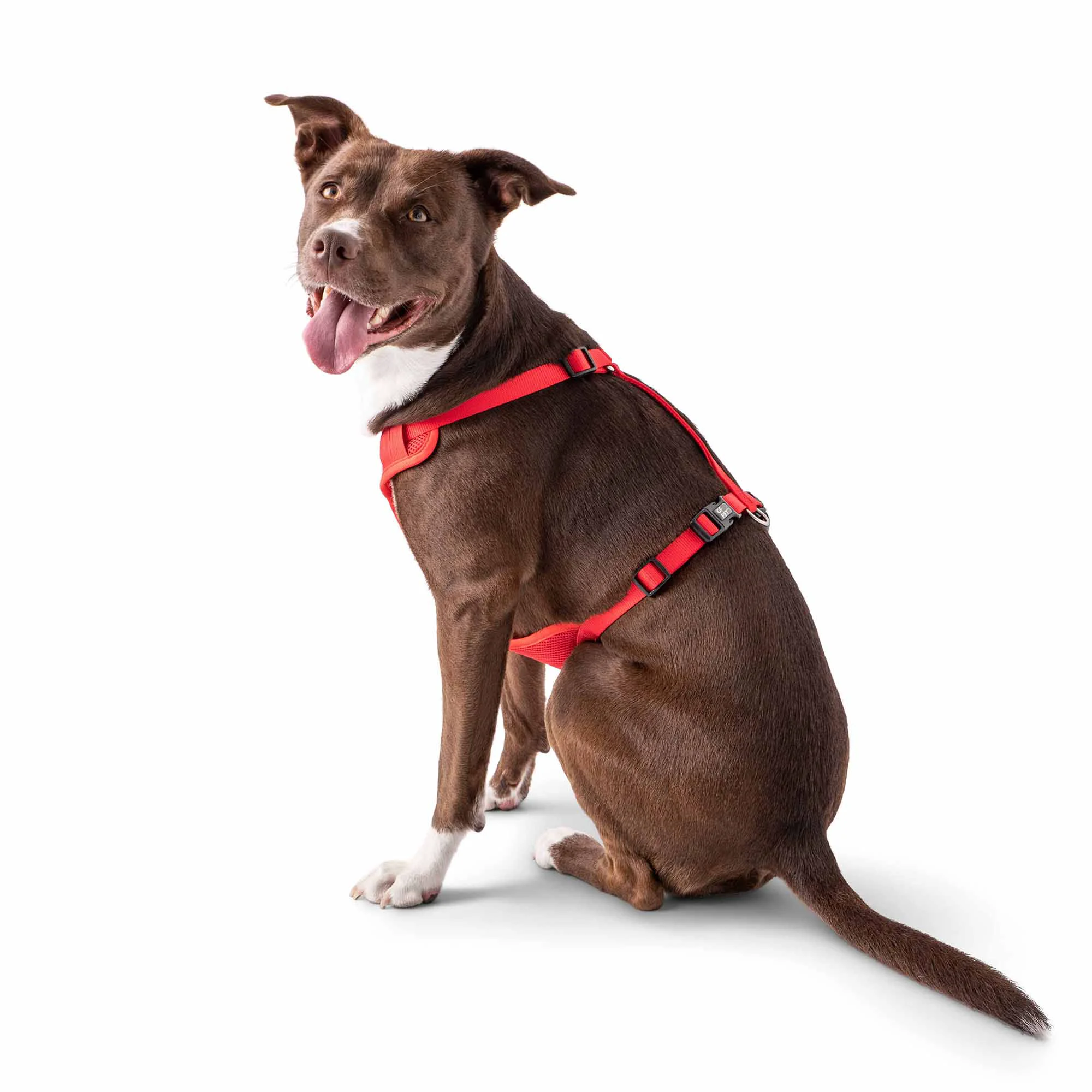 Sustainable Travel Harness - Red Genuine