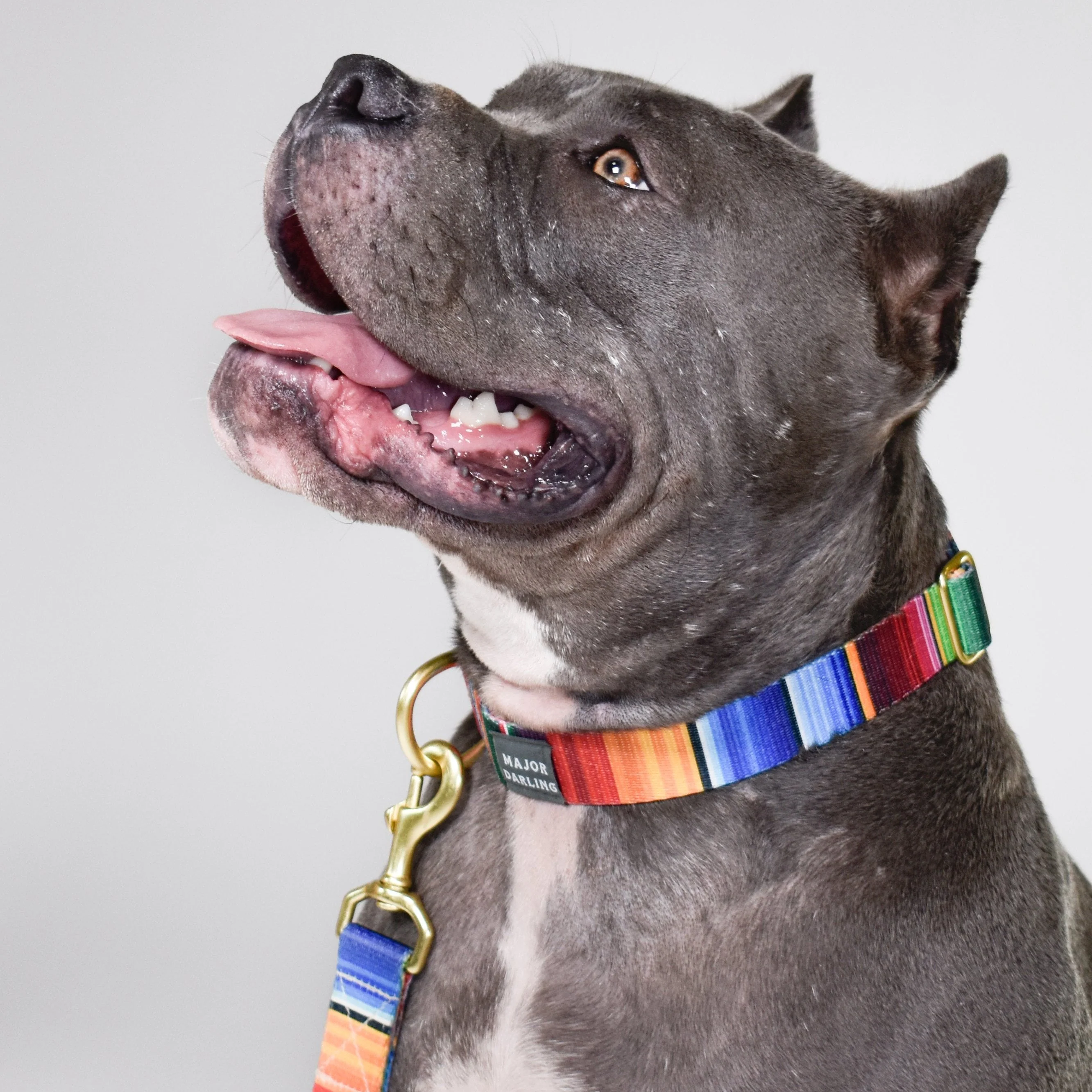 Excellent not-so-basic snap collar serape First-Class