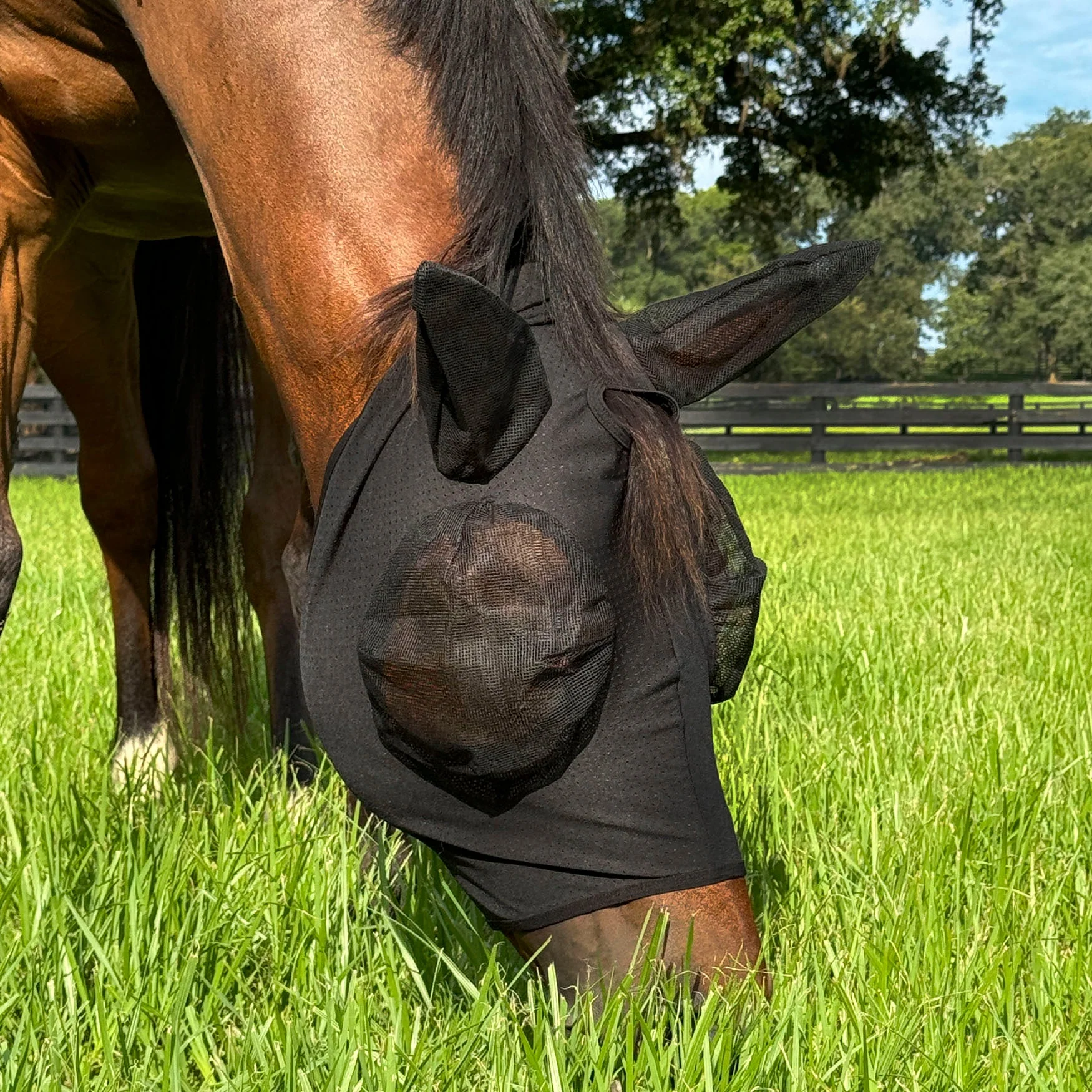Recyclable PRO4MANCE Com4rt Stretch Breathable Fly Mask Genuine