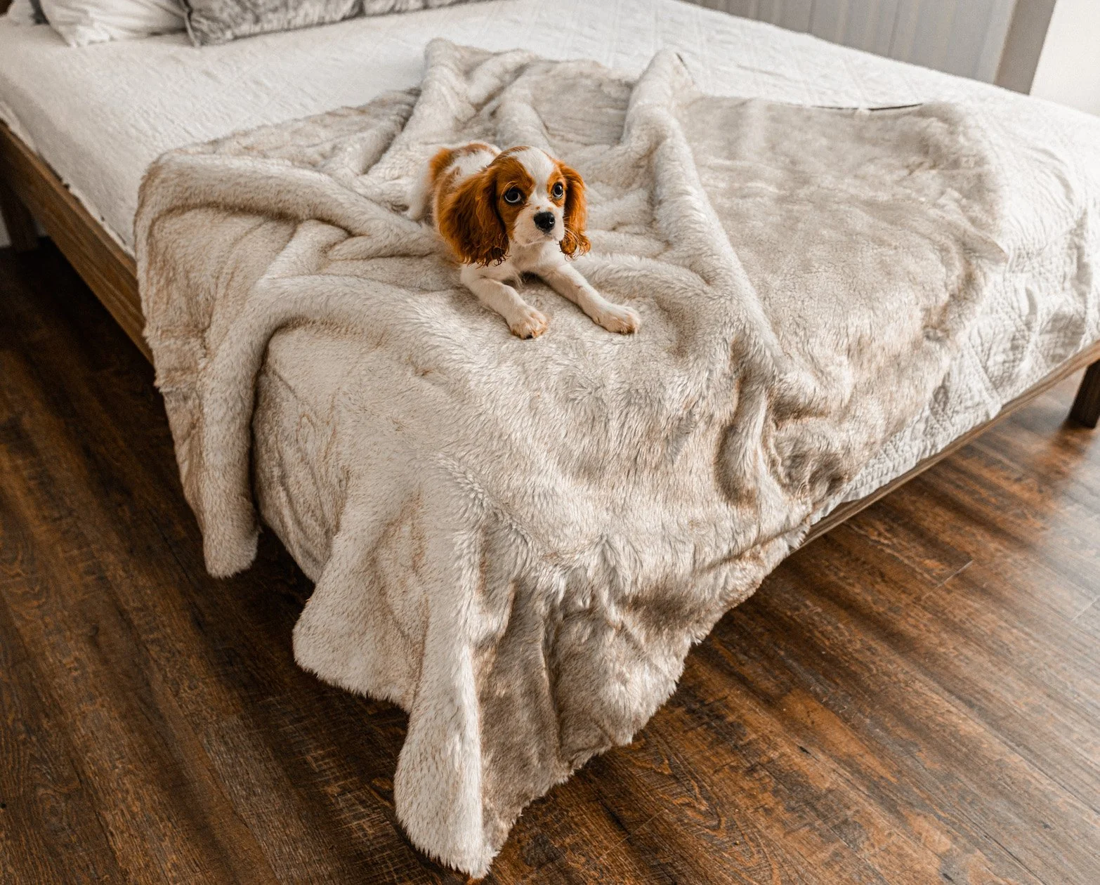 Pure PupProtector™ Summer Short Fur Waterproof Throw Blanket - White with Brown Accents Safe
