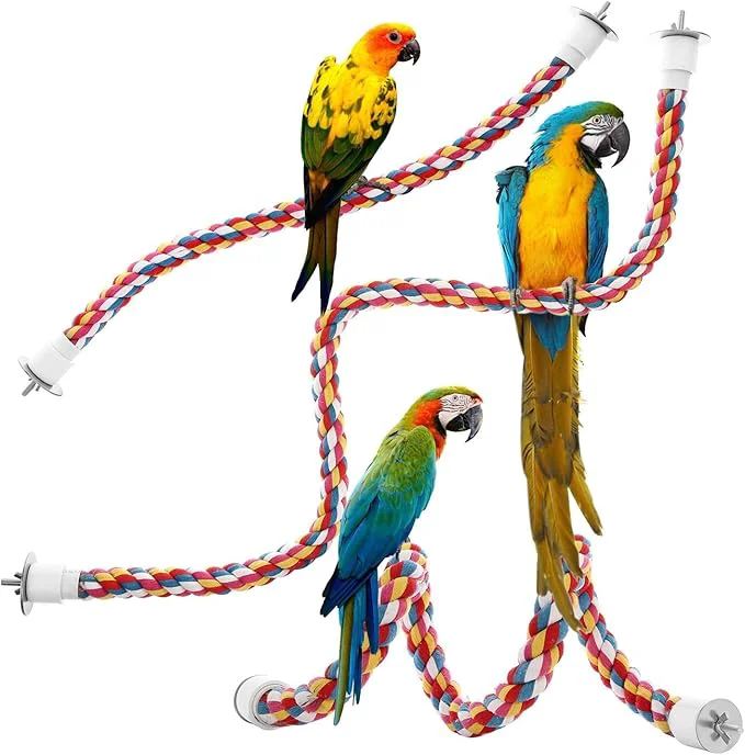 Specialty Bird Rope Perches Parrot Toys 48 inches Rope Bungee Bird Toy Modern