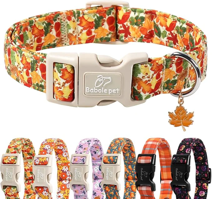 Clean Fall Dog Collar Cute Autumn Leaves Puppy Collar Expertly Made