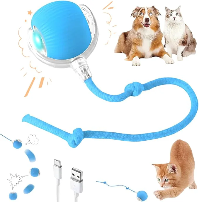 First-Class Interactive Electric Automatic Rolling Moving Rechargeable Self Play High-Grade