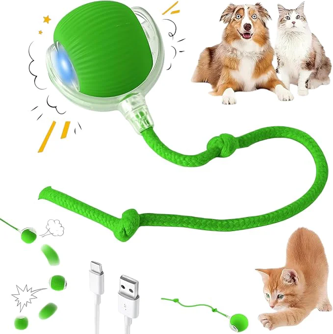 Environmentally Friendly Interactive Electric Automatic Rolling Moving Rechargeable Self Play Long-Lasting