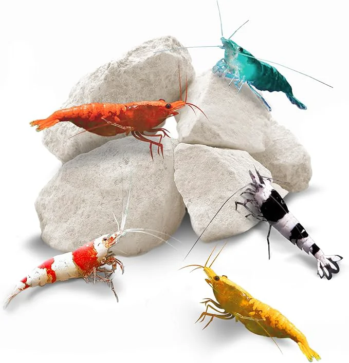 Easy-to-Use SunGrow Shrimp Rocks Magnesium Rocks Superior