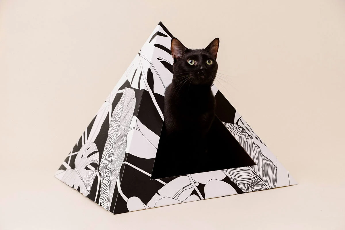 Breathable 'Dark Paradise' Cardboard Cat Pyramid Fine Crafted