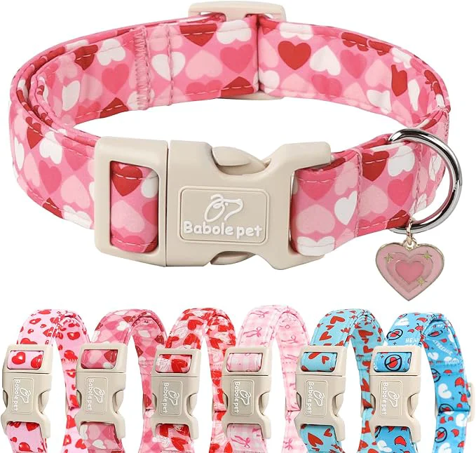 Specialty Valentines Dog Collar for Giant Large Dogs Sustainable