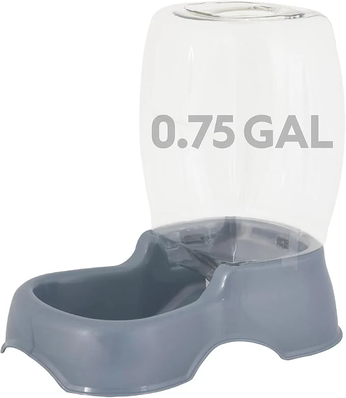 Healthy Petmate Pet Cafe Cat and Dog Gravity Water Dispenser Stylish