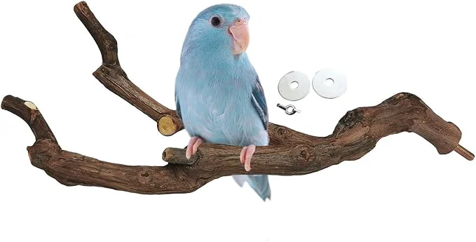 Outstanding kathson Natural Parrot Perch Bird Stand Pole Wild Grape Stick Paw Grinding Fork Fine