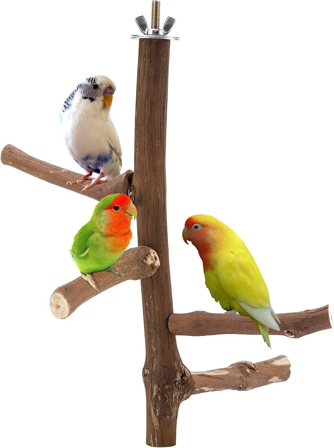 Selected Bird Perch Stand Toy Natural Grapevine Wood Parrot Perch Bird Cage Branch Sophisticated