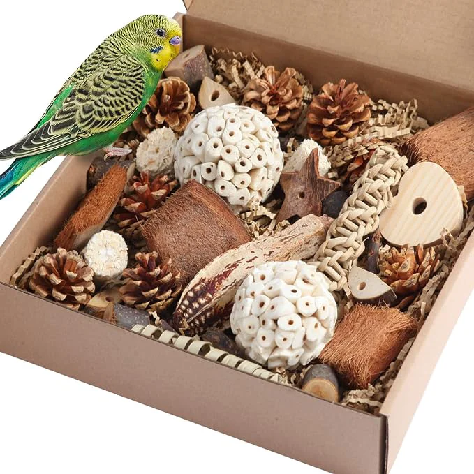 Excellent Kyouki Bird Toys Parrot Natural Bird Foraging Box Foot Toys Original