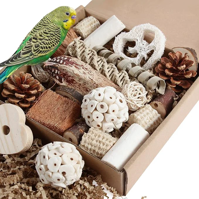 Unique Kyouki Bird Toys Parrot Toys Natural Bird Foraging Box Foot User-Friendly
