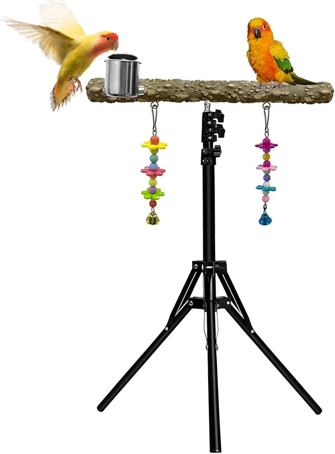 Next-Generation 16-63 Inch Height Adjustable Bird Perch Pepper Wood Parrot Training Perch Stand Minimalist
