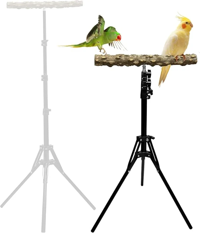 Modern 16-63 Inch Height Adjustable Bird Perch Pepper Wood Bird Training Perch Stand Next-Generation