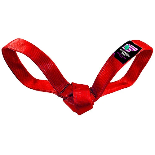Efficient LUCKY DOG 9 Love Bird Seatbelt Tug Consistent