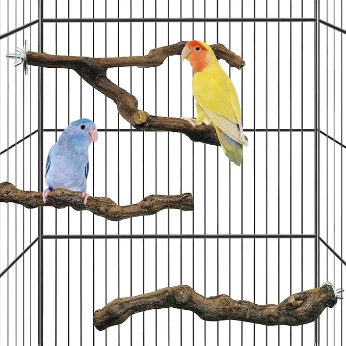 Relaxed kathson 3pcs Natural Parrot Perch Luxury