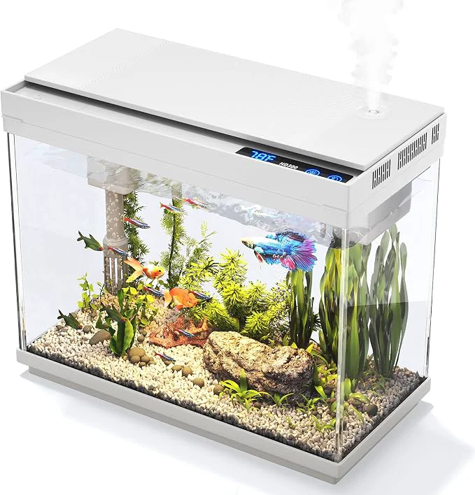 Unique Fish Tank 2.4 Gallon Aquarium Kit Expertly Made
