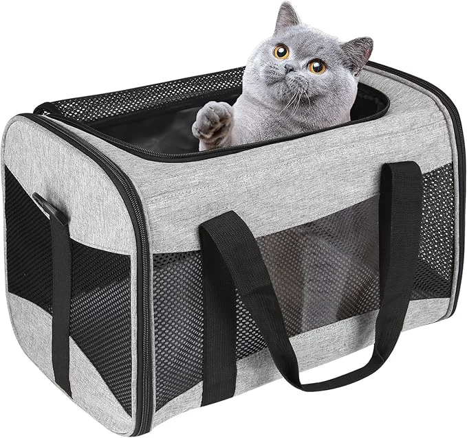 Proven Cat Carrying Case Stylish